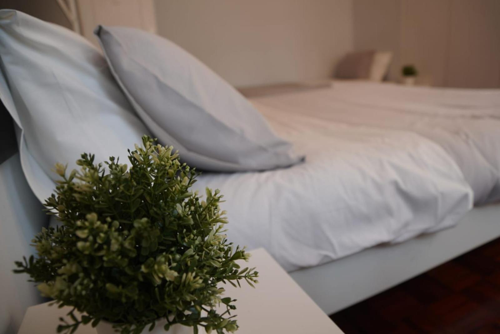 Bisengototo Homestay Lissabon Buitenkant foto